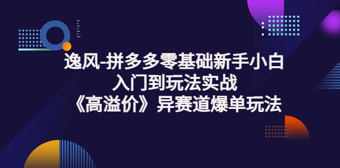 【副业项目3877期】逸风-拼多多新手小白入门到玩法实战，异赛道爆单玩法实操课-网赚资源网