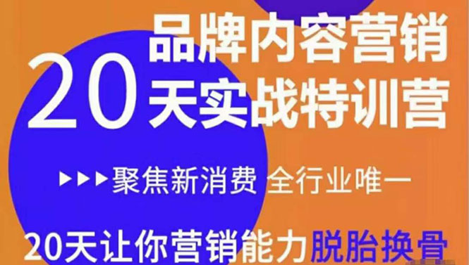 【副业项目3899期】《内容营销实操特训营》20天让你营销能力脱胎换骨（价值3999）-网赚资源网