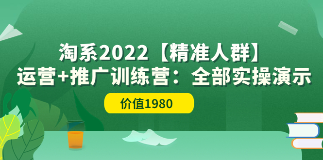 【副业项目3941期】淘系2022【精准人群】运营+推广训练营：全部实操演示-网赚资源网