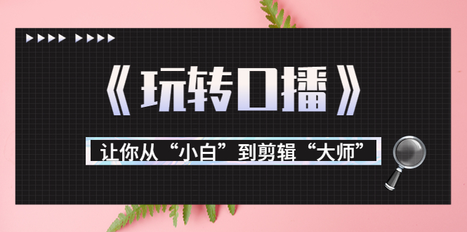 【副业项目3987期】月营业额700万+大佬教您《玩转口播》让你从“小白”到剪辑“大师”-网赚资源网