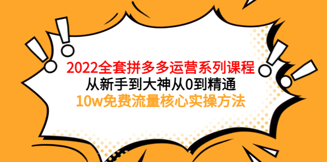 【副业项目4045期】2022全套拼多多运营课程：新手怎么做拼多多电商，10w免费流量核心实操方法-网赚资源网