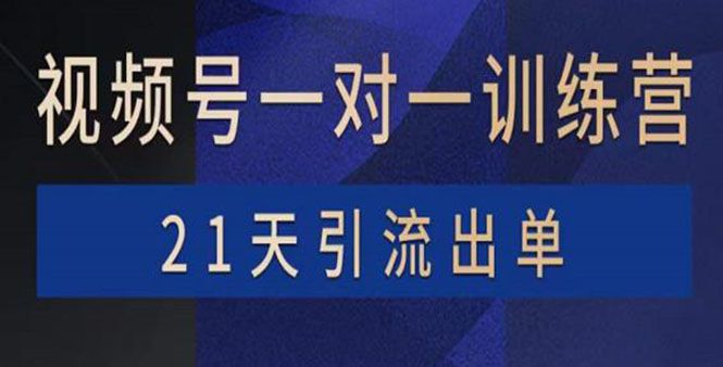 【副业项目4068期】视频号训练营：带货，涨粉，直播，游戏，四大变现新方向，21天引流出单-网赚资源网