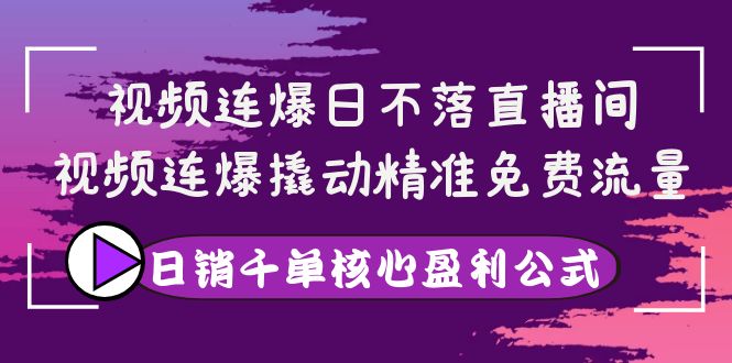 【副业项目4149期】视频连爆日不落直播间，视频连爆撬动精准免费流量，日销千单核心盈利公式-网赚资源网