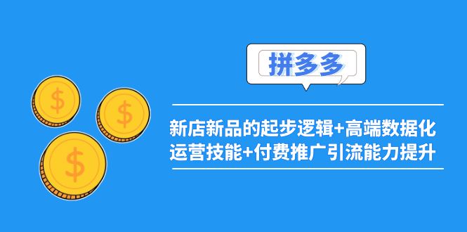 【副业项目4181期】2022拼多多：新店新品的起步逻辑+高端数据化运营技能+付费推广引流能力提升-网赚资源网