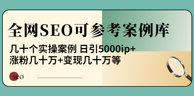 【副业项目4188期】《全网SEO可参考案例库》几十个实操案例 日引5000ip+涨粉百W+变现几十W等-网赚资源网