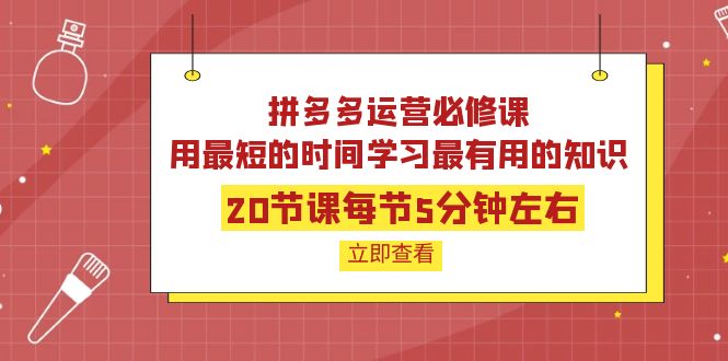 【副业项目4189期】拼多多运营必修课：20节课每节5分钟左右，用最短的时间学习最有用的知识-网赚资源网