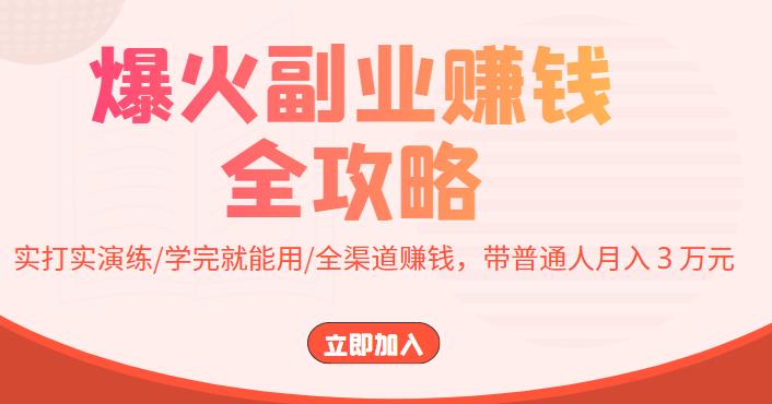 【副业项目4216期】爆火副业赚钱全攻略：实打实演练/学完就能用/全渠道赚钱，带普通人月入３万元-网赚资源网
