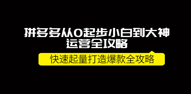 【副业项目4227期】拼多多从0起步小白到大神运营全攻略，快速起量打造10W+爆款全攻略-网赚资源网