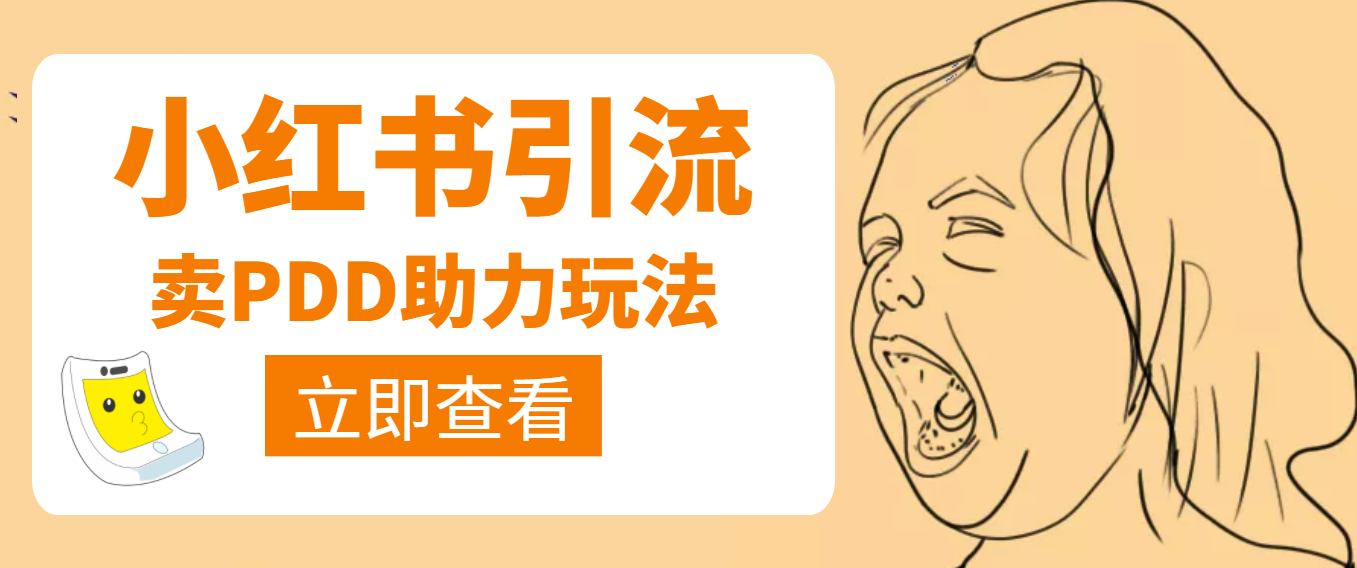 【副业项目4230期】利用小红书卖拼多多助力，日赚100+，顺便还能引个流【视频课程】-网赚资源网