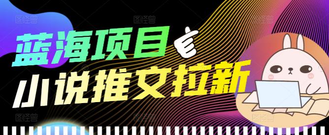 【副业项目4251期】外面收费6880的小说推文拉新项目，个人工作室可批量做【详细教程】-网赚资源网