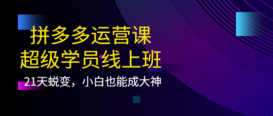 【副业项目4260期】拼多多运营课：超级学员线上班，21天蜕变，小白也能成大神-网赚资源网