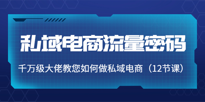【副业项目4297期】私域电商流量密码：千万级大佬教您如何做私域电商（12节课）-网赚资源网