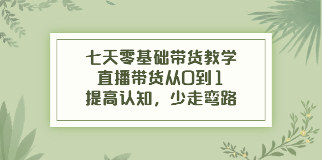 【副业项目4305期】七天零基础带货教学：直播带货从0到1，提高认知，少走弯路-网赚资源网