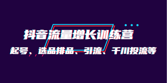 【副业项目4335期】月销1.6亿实操团队·抖音流量增长训练营：起号、选品排品、引流 千川投流等-网赚资源网