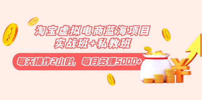 【副业项目4366期】淘宝虚拟电商蓝海项目实战班+私教班：每天操作2小时，每月多赚5000+-网赚资源网