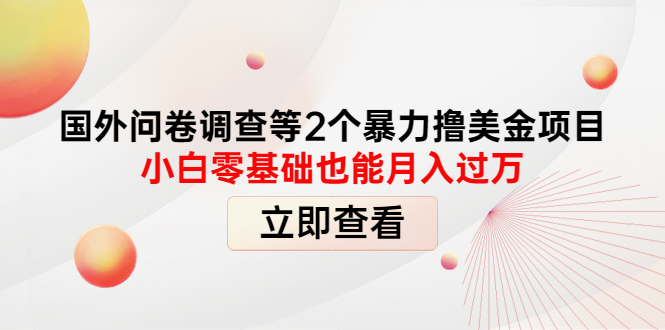 【副业项目4372期】国外问卷调查等2个暴力撸美金项目，小白零基础也能月入过万-网赚资源网
