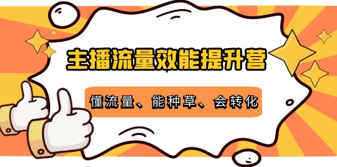 【副业项目4373期】主播流量效能提升营：懂流量、能种草、会转化，清晰明确方法规则-网赚资源网