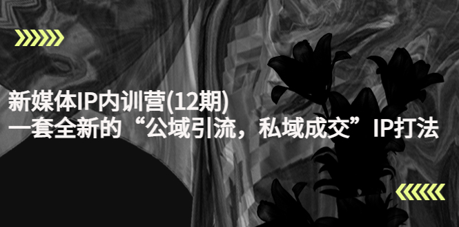 【副业项目4405期】新媒体IP内训营(12期)：一套全新的“公域引流，私域成交”IP打法，直接带走-网赚资源网