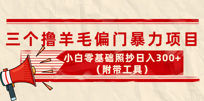 【副业项目4412期】外面卖998的三个撸羊毛偏门暴力项目，小白零基础照抄日入300+（附带工具）-网赚资源网