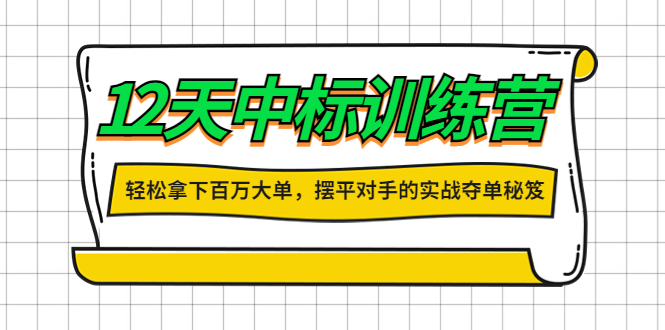 【副业项目4416期】12天中标训练营：轻松拿下百万大单，摆平对手的实战夺单秘笈-网赚资源网