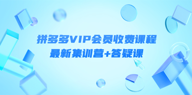 【副业项目4426期】某社群·拼多多VIP会员收费课程，最新集训营+答疑课-价值3299元-网赚资源网