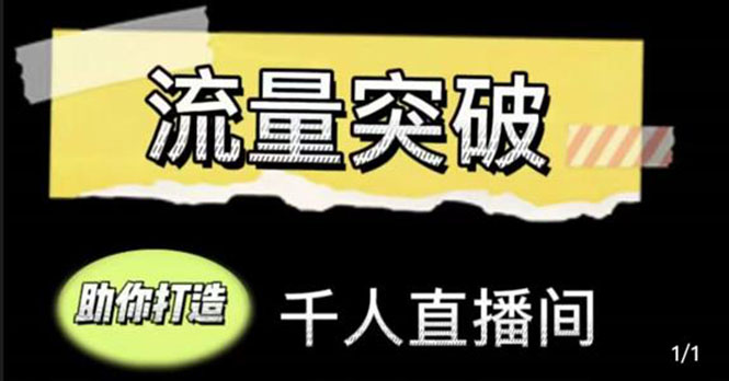 【副业项目4460期】直播运营实战视频课，助你打造千人直播间（14节视频课）-网赚资源网