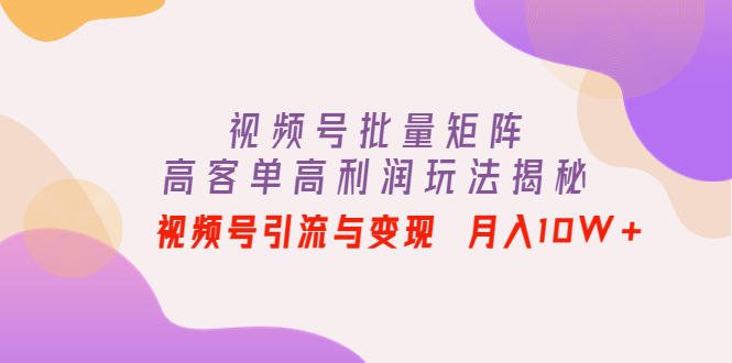 【副业项目4488期】视频号批量矩阵的高客单高利润玩法揭秘： 视频号引流与变现 月入10W+-网赚资源网