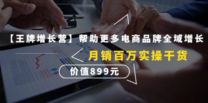 【副业项目4547期】【王牌增长营】帮助更多电商品牌全域增长，月销百万实操干货，价值899元-网赚资源网