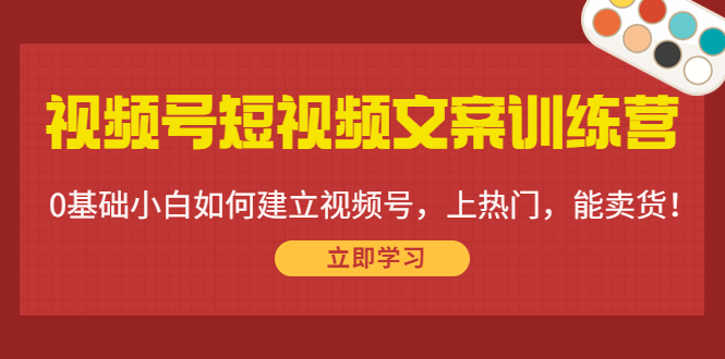 【副业项目4549期】视频号短视频文案训练营：0基础小白如何建立视频号，上热门，能卖货-网赚资源网
