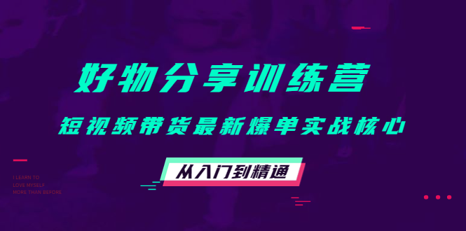 【副业项目4585期】好物分享训练营：短视频带货最新爆单实战核心，从入门到精通-网赚资源网