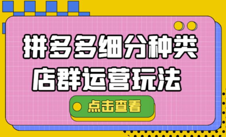 【副业项目4641期】拼多多细分种类店群运营玩法3.0，11月最新玩法，小白也可以操作-网赚资源网