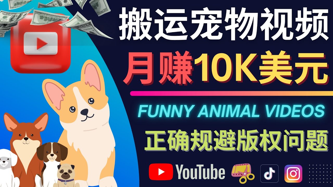 【副业项目4509期】搬运TIKTOK视频到YouTube，并进行二次创作，月赚1万美元以上-网赚资源网