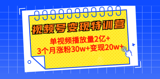 【副业项目4713期】20天视频号变现特训营：单视频播放量2亿+3个月涨粉30w+变现20w+-网赚资源网