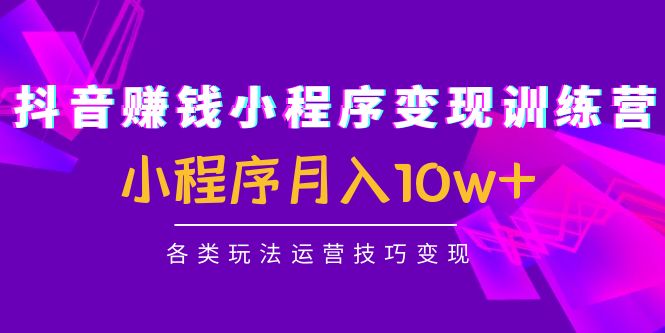 【副业项目4765期】抖音赚钱小程序变现训练营：小程序月入10w+各类玩法运营技巧变现-网赚资源网