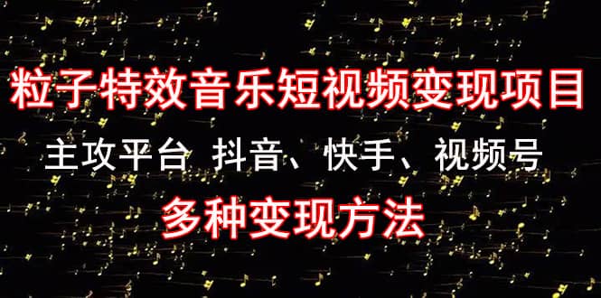 【副业项目4821期】《粒子特效音乐短视频变现项目》主攻平台 抖音、快手、视频号 多种变现方法-网赚资源网