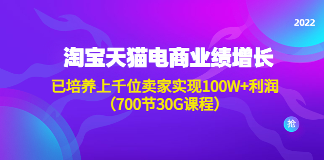 【副业项目4675期】淘系天猫电商业绩增长：已培养上千位卖家实现100W+利润（700节30G课程）-网赚资源网