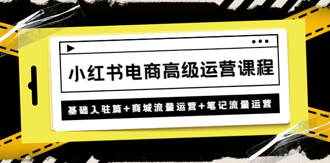 【副业项目4879期】小红书电商高级运营课程：基础入驻篇+商城流量运营+笔记流量运营-网赚资源网