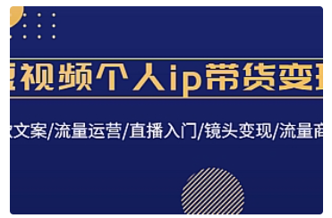 【副业项目4835期】短视频个人ip带货变现：爆款文案/流量运营/直播入门/镜头变现/流量商业-网赚资源网