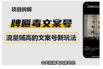 【副业项目4912期】2023抖音快手毒文案新玩法，牌匾文案号，起号快易变现-网赚资源网