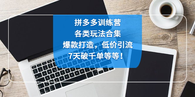 【副业项目4925期】拼多多训练营：各玩法合集，爆款打造，低价引流，7天破千单等等-网赚资源网