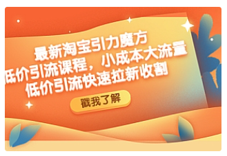【副业项目4943期】最新淘宝引力魔方低价引流实操：小成本大流量，低价引流快速拉新收割-网赚资源网