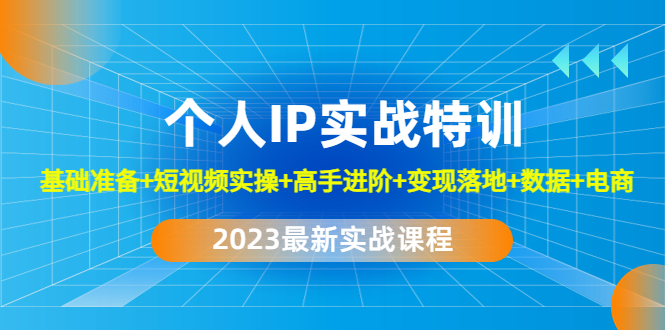 【副业项目4959期】2023个人IP实战特训：基础准备+短视频实操+高手进阶+变现落地+数据+电商-网赚资源网