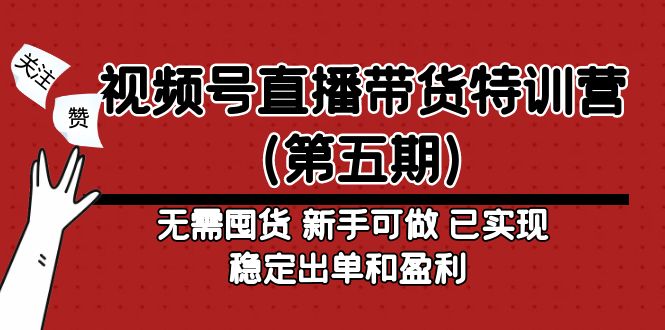 【副业项目5139期】视频号直播带货特训营（第五期）无需囤货 新手可做 已实现稳定出单和盈利-网赚资源网