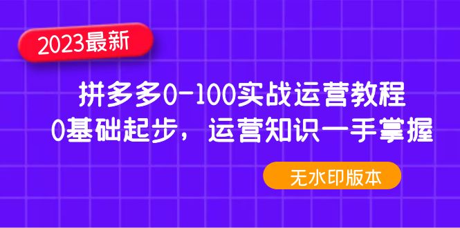 【副业项目5048期】2023拼多多0-100实战运营教程，0基础起步，运营知识一手掌握-网赚资源网