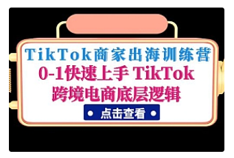 【副业项目5013期】TikTok商家出海训练营：0-1快速上手 TikTok跨境电商底层逻辑-网赚资源网