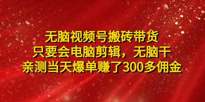 【副业项目5070期】无脑视频号搬砖带货，只要会电脑剪辑，无脑干，亲测当天爆单赚了300多佣金-网赚资源网