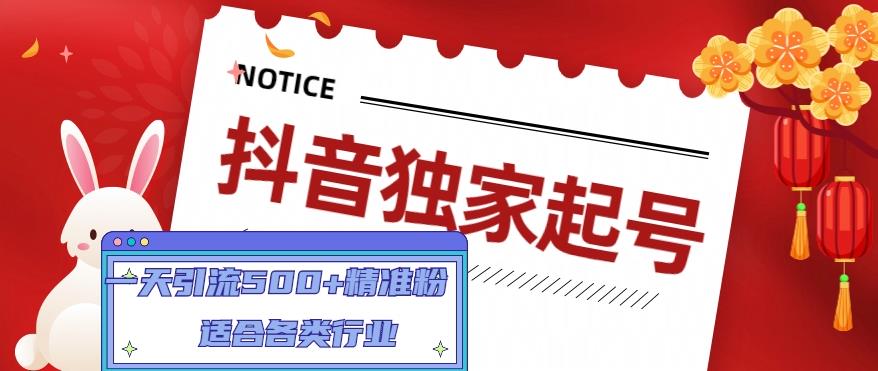 【副业项目5106期】抖音独家起号，一天引流500+精准粉，适合各类行业（9节视频课）-网赚资源网