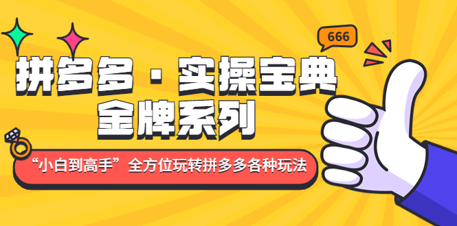【副业项目5130期】拼多多·实操宝典：金牌系列“小白到高手”带你全方位玩转拼多多各种玩法-网赚资源网