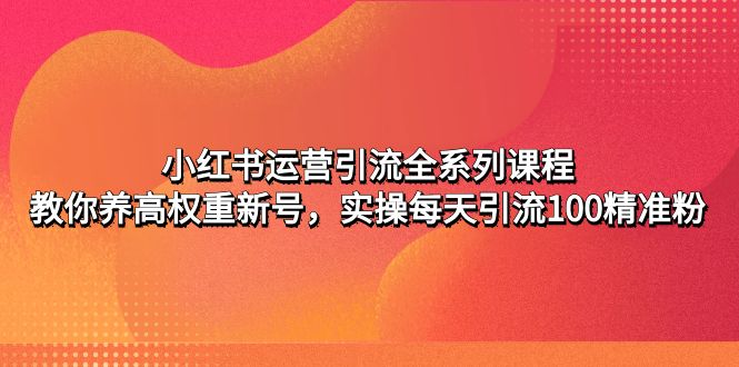 【副业项目5144期】小红书运营引流全系列课程：教你养高权重新号，实操每天引流100精准粉-网赚资源网