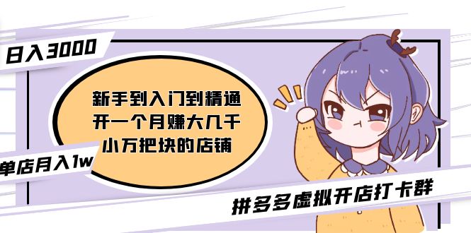【副业项目5173期】拼多多虚拟开店打卡群：新手到入门到精通（昨日群里有小伙伴日入3000+）-网赚资源网